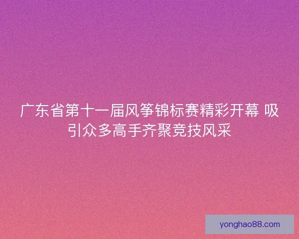 广东省第十一届风筝锦标赛精彩开幕 吸引众多高手齐聚竞技风采
