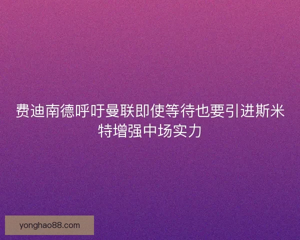 费迪南德呼吁曼联即使等待也要引进斯米特增强中场实力